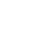 leo piccioli
